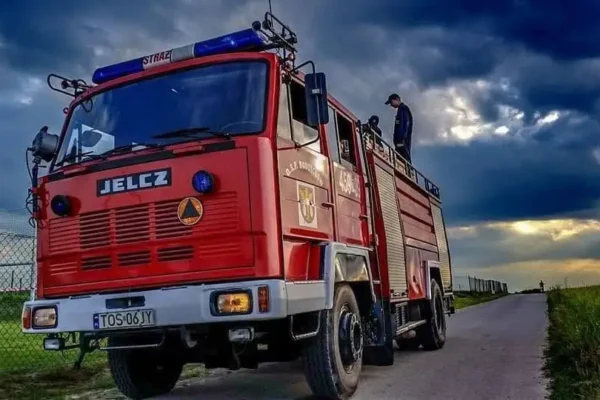 Pożar krzaków przy lesie w Bodzechowie – strażacy w akcji