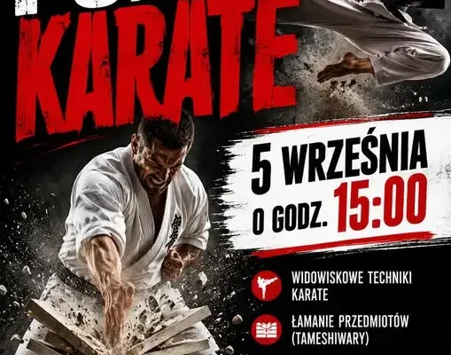 Pokaz karate i festiwal organizacji pozarządowych w Ostrowcu – zaproszenie na 5 września