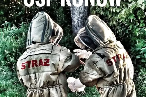 Młodzieżowa Drużyna Pożarnicza w Kunowie otrzymała 5000 zł na sprzęt szkoleniowy